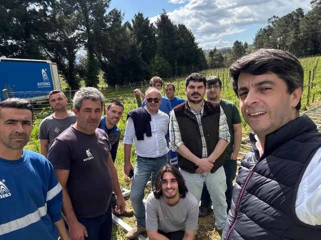 Equipa do consórcio UVineSafe, com elementos da Matglow, na vinha experimental