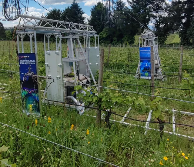Pórticos UV-C da Matglow instalados entre as linhas de uma vinha experimental